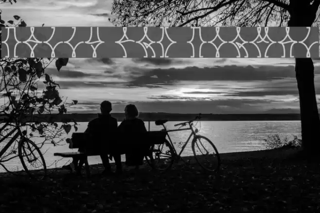 NELLY FRD Normal Font examples