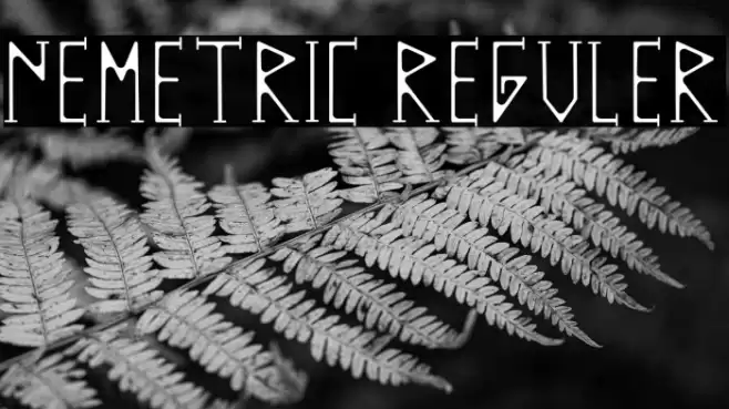 NEMETRIC REGULER Font examples