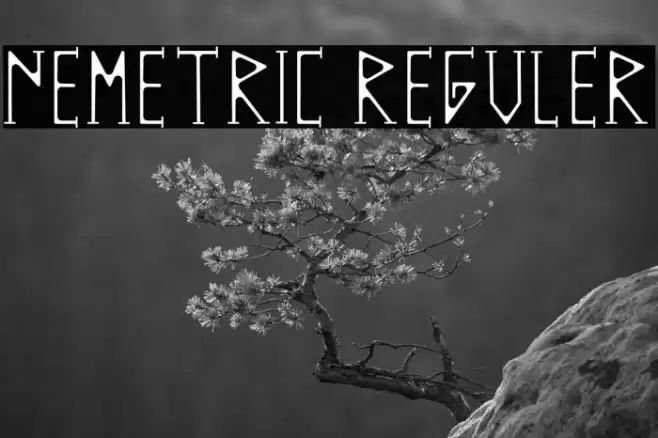 NEMETRIC REGULER Font examples
