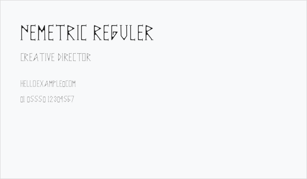 NEMETRIC REGULER Business Card