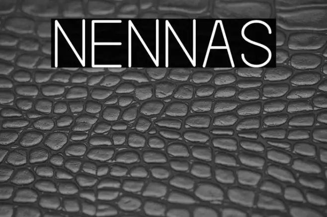 NENNAS Example 1