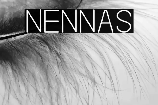 NENNAS Example 2