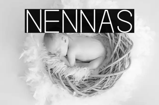 NENNAS Example 3