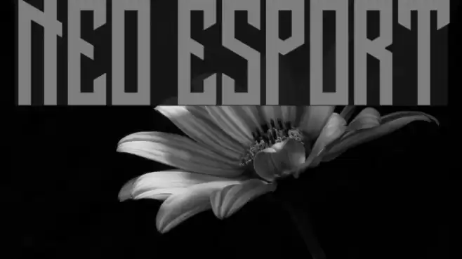 NEO ESPORT Font examples