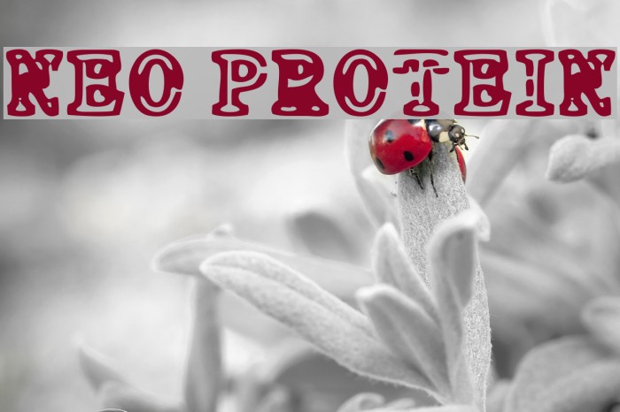 NEO PROTEIN Font examples