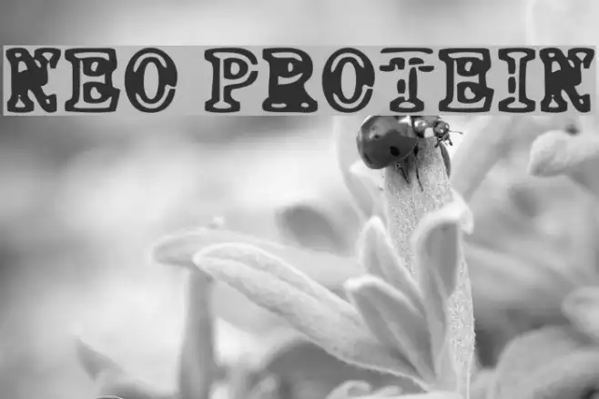 NEO PROTEIN Example 2