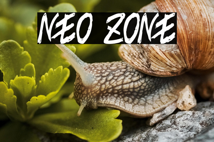NEO ZONE Example 1