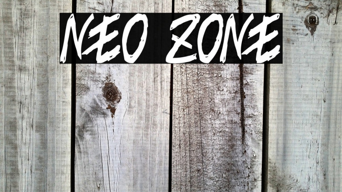 NEO ZONE Example 3