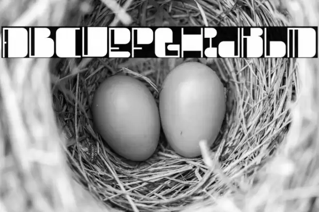 NEOFLIKS Free Trial Font examples