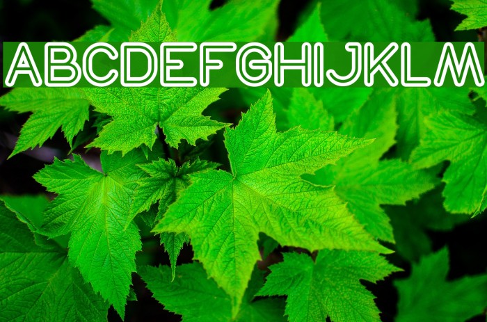 NEON GLOW Bold Example 1