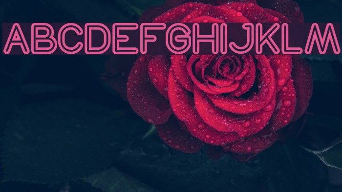 NEON GLOW Bold Example 2