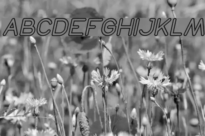 NEON GLOW Italic Font examples