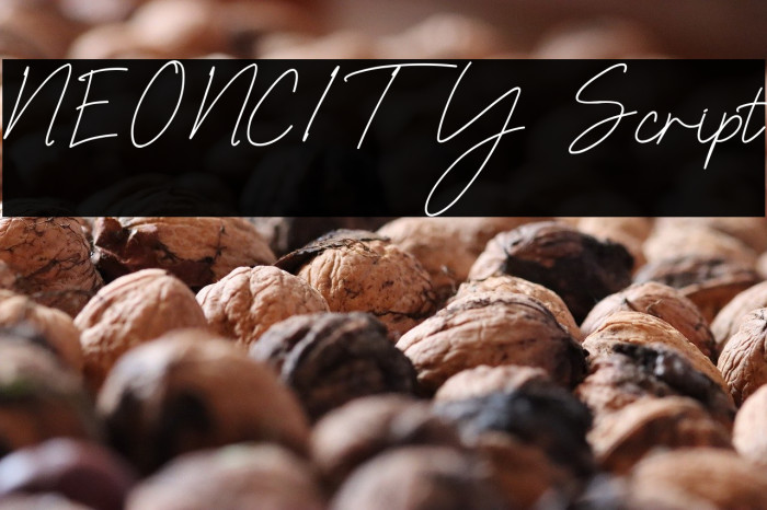 NEONCITY Script Example 1