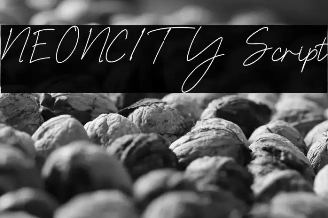 NEONCITY Script Example 1