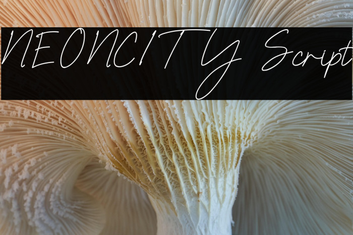 NEONCITY Script Example 2