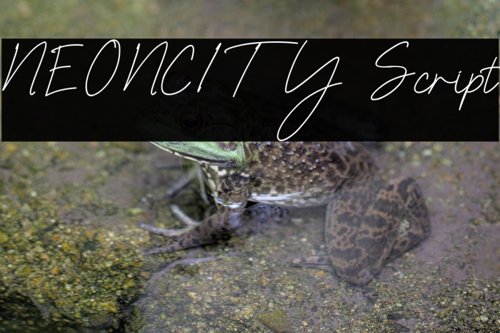 NEONCITY Script Example 3