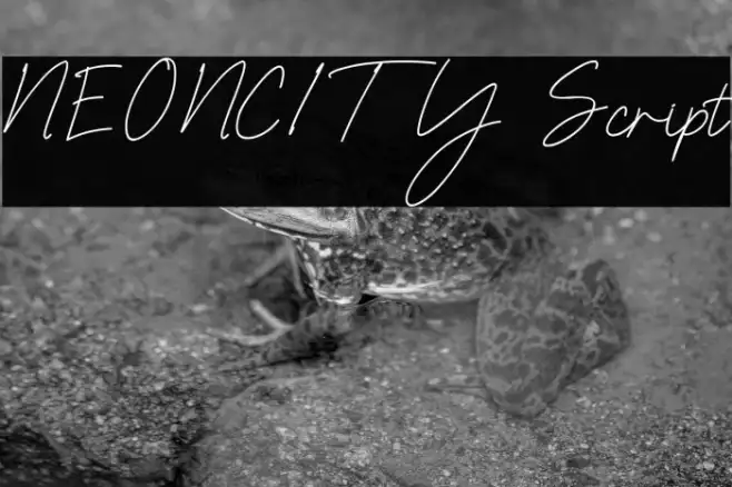 NEONCITY Script Example 3