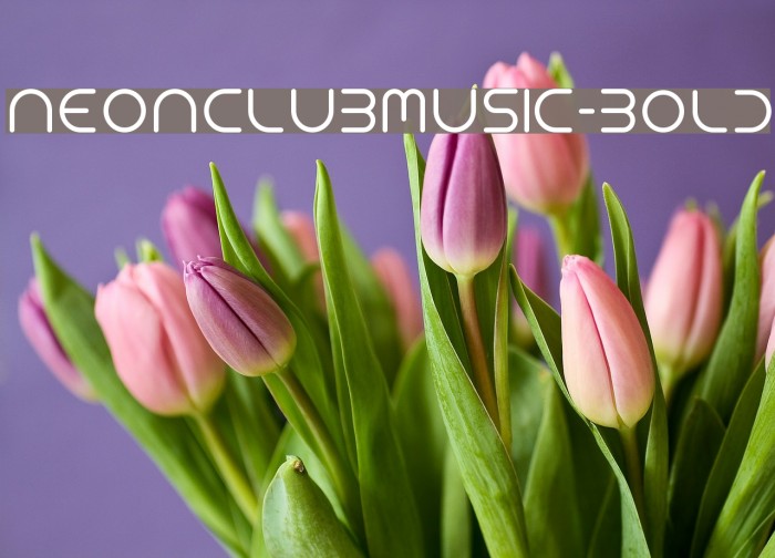 NEONCLUBMUSIC-Bold Font examples