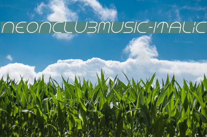 NEONCLUBMUSIC-Italic Font examples