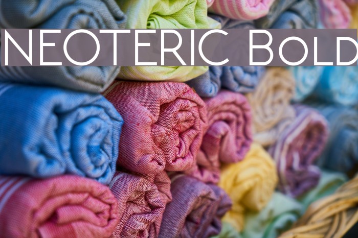 NEOTERIC Bold Font examples