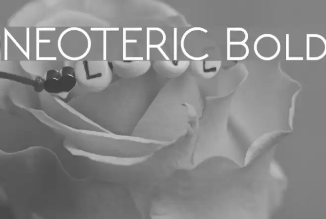 NEOTERIC Bold Font examples