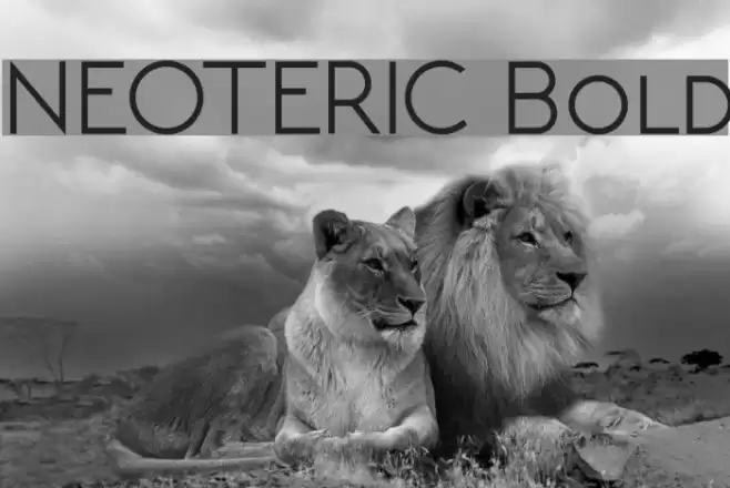 NEOTERIC Bold Font examples