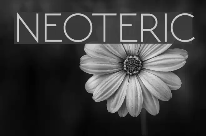 NEOTERIC Font examples