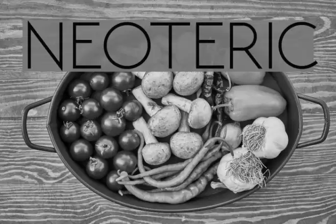NEOTERIC Font examples