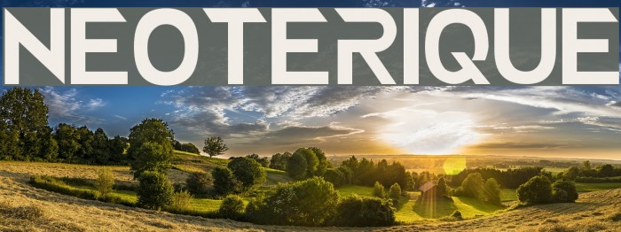 NEOTERIQUE Example 1