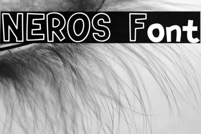 NEROS Fuentes examples