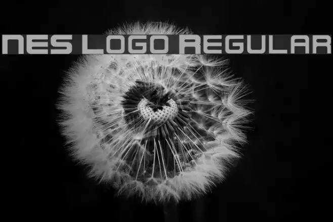 NES Logo Regular Example 3