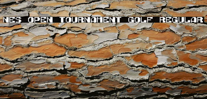 NES Open Tournament Golf Regular Example 2
