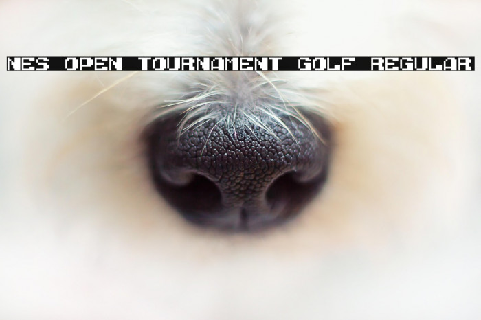 NES Open Tournament Golf Regular Example 3