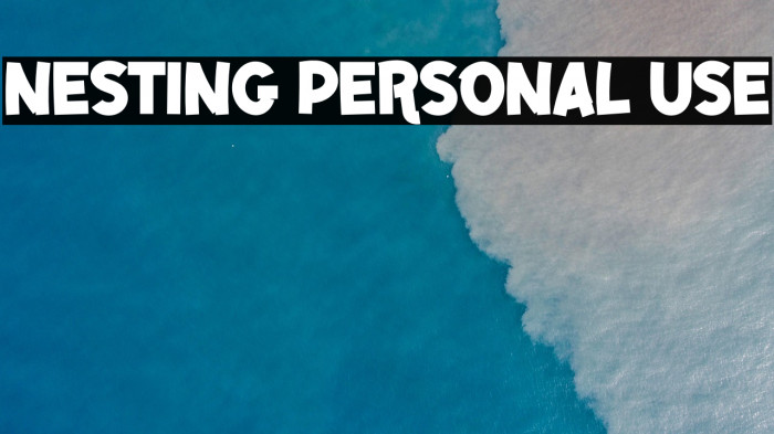 NESTING PERSONAL USE Example 1