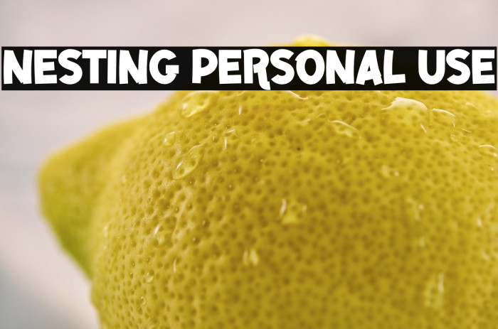 NESTING PERSONAL USE Example 3