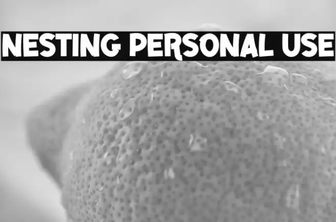 NESTING PERSONAL USE Schriftart examples