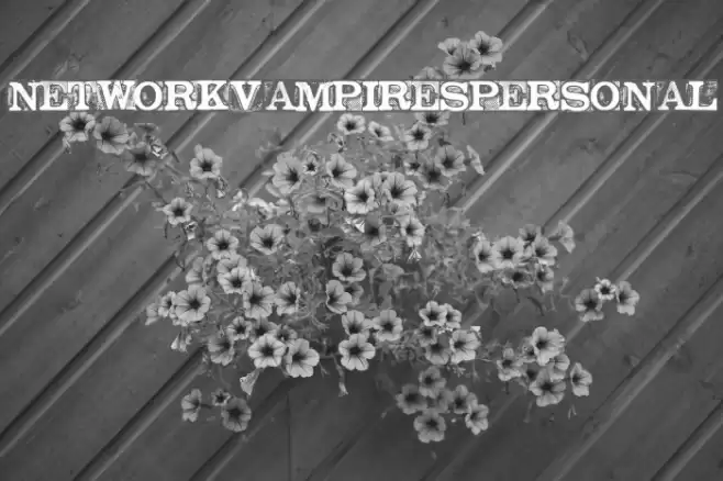NETWORKVAMPIRES-personal Шрифта examples