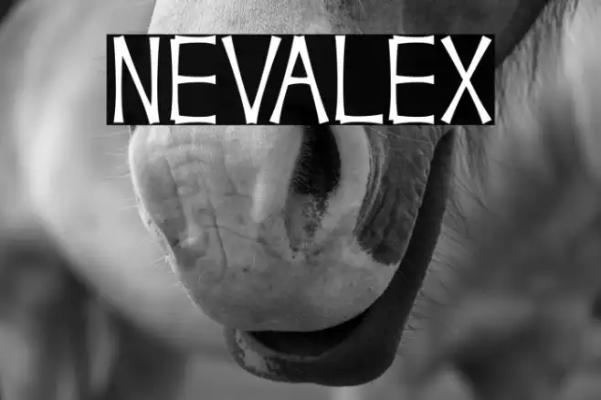 NEVALEX Example 2
