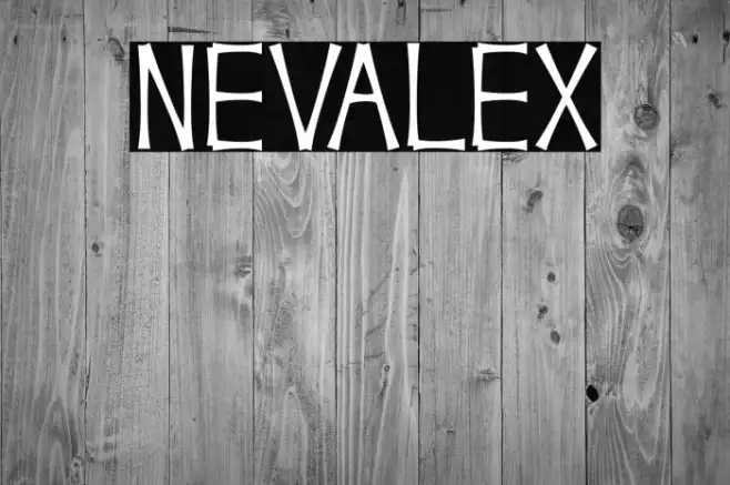 NEVALEX Example 3