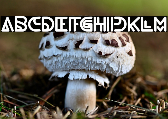 NEVER ENDING MAZE Bold Example 3