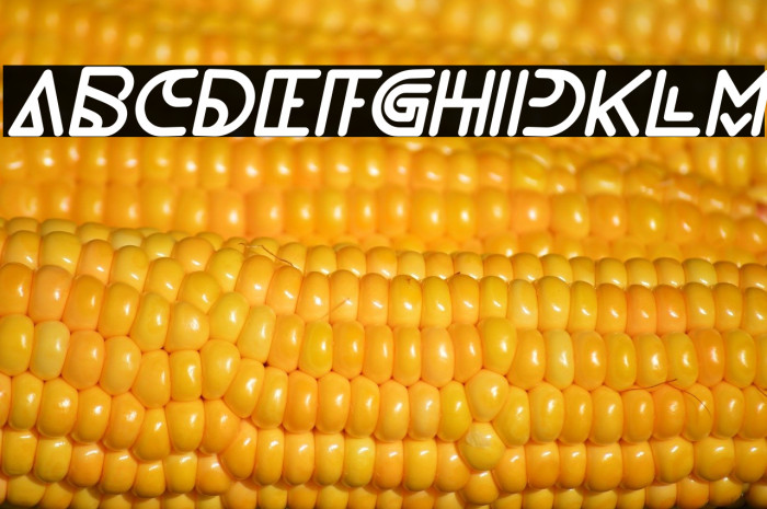 NEVER ENDING MAZE Italic Example 2