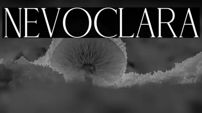 NEVOCLARA Font examples