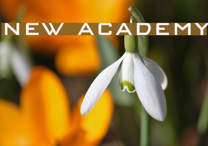 NEW ACADEMY Font examples