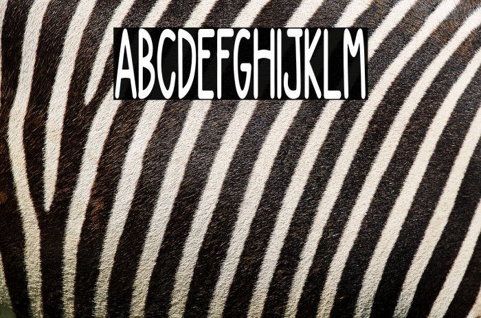 NEW DIVIDE Example 3