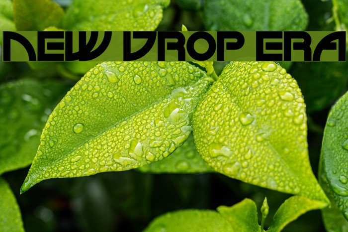 NEW DROP ERA Font examples