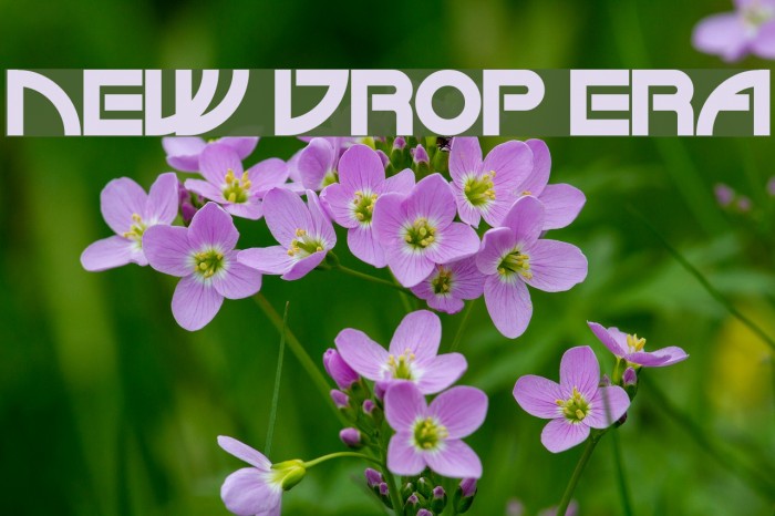 NEW DROP ERA Font examples