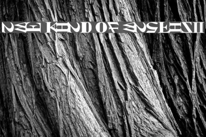 NEW KIND OF ENGLISH Font examples