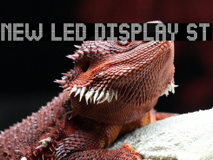 NEW LED DISPLAY ST Example 2