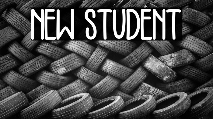 NEW STUDENT Example 3