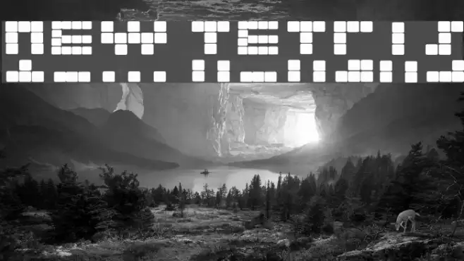 NEW TETRIS Example 2